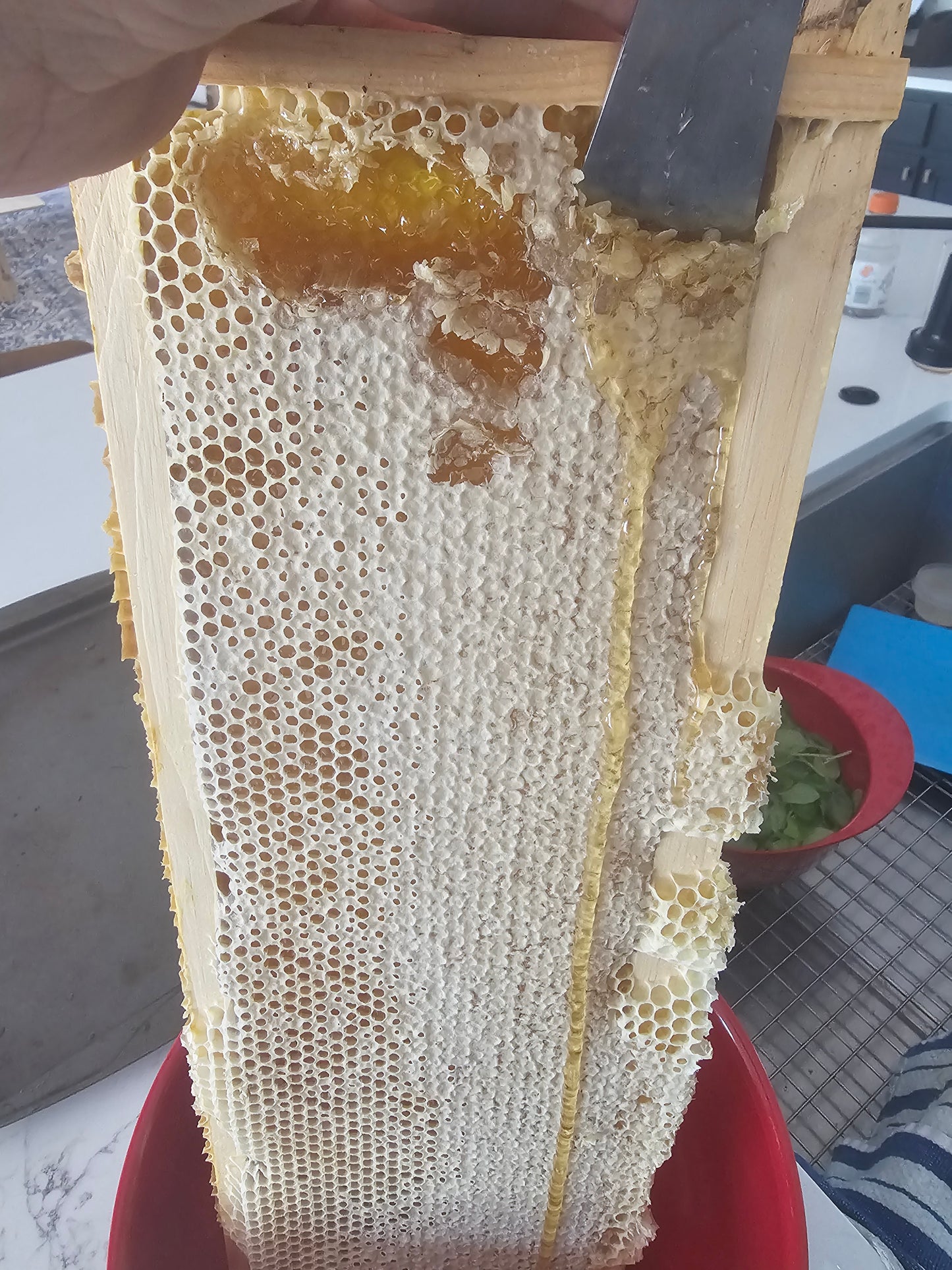 E6R 2025 Honey Harvest
