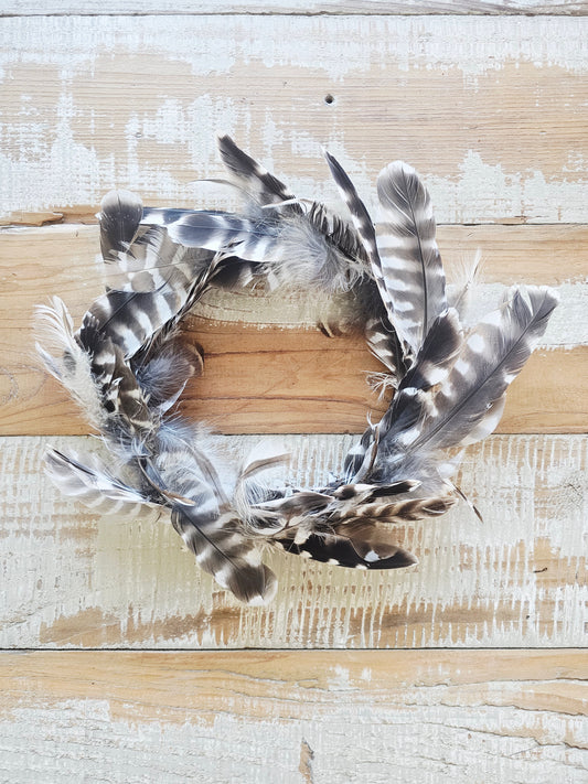Feather Wreath